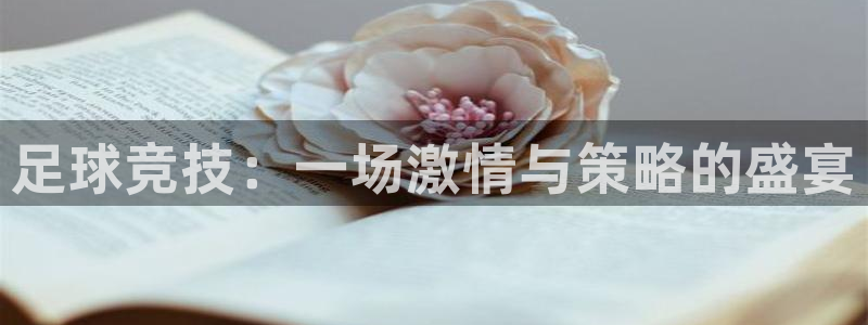 足球竞技：一场激情与策略的盛宴
