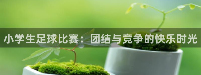  小学生足球比赛：团结与竞争的快乐时光