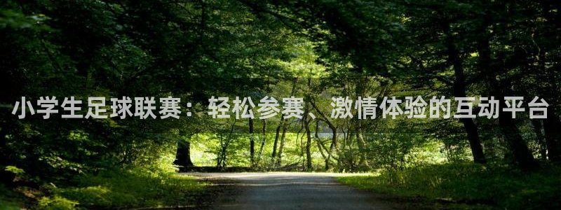 小学生足球联赛：轻松参赛、激情体验的互动平台