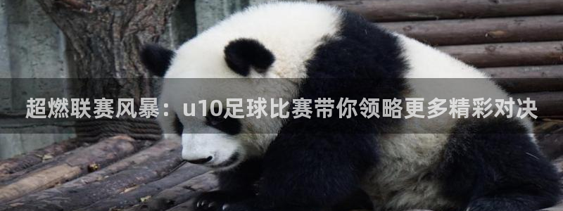超燃联赛风暴：u10足球比赛带你领略更多精彩对决