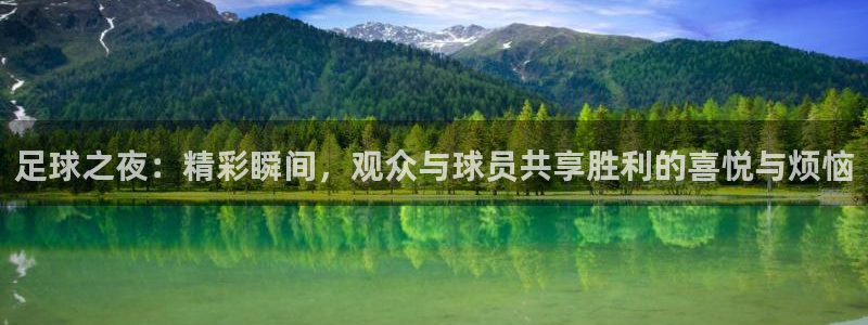 足球之夜：精彩瞬间，观众与球员共享胜利的喜悦与烦恼