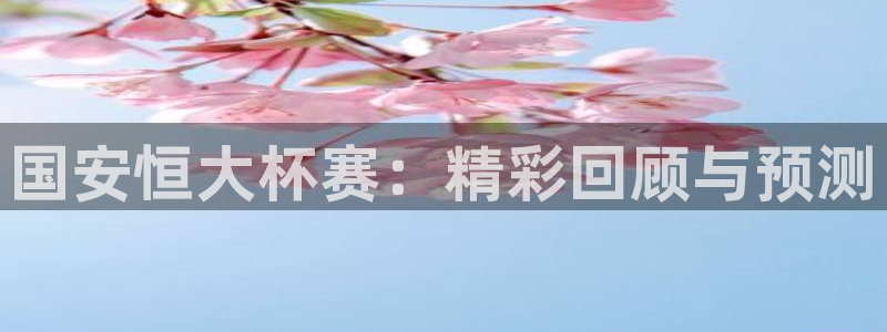  国安恒大杯赛：精彩回顾与预测