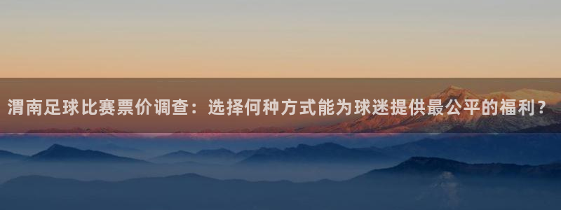 渭南足球比赛票价调查：选择何种方式能为球迷提供最公平的福利？