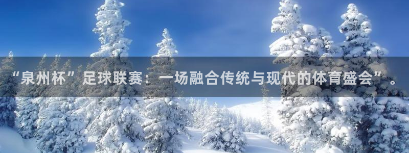 “泉州杯”足球联赛：一场融合传统与现代的体育盛会”。