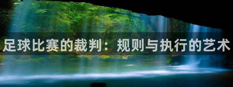  足球比赛的裁判：规则与执行的艺术