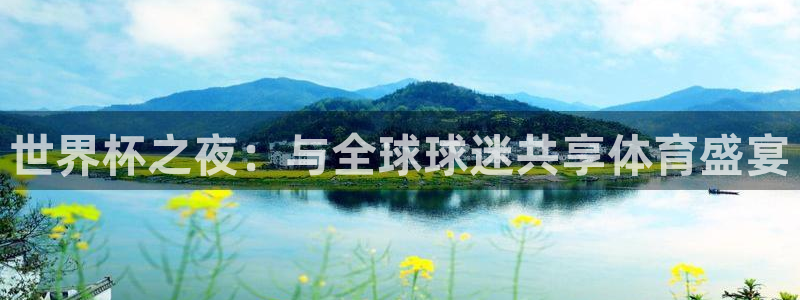 世界杯之夜：与全球球迷共享体育盛宴