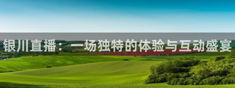 nba总决赛玩球直播