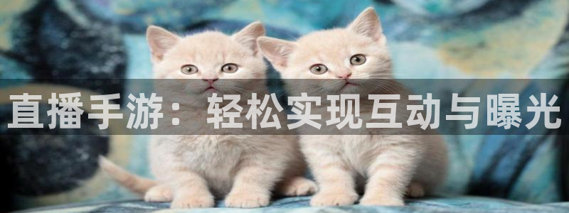 玩球直播免费直播：直播手游：轻松实现互动与曝光