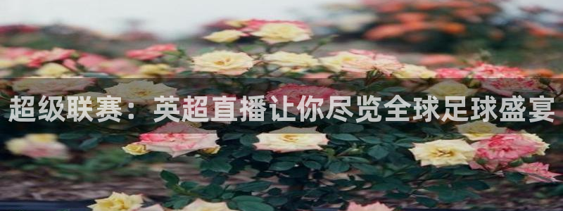 玩球视频：超级联赛：英超直播让你尽览全球足球盛宴