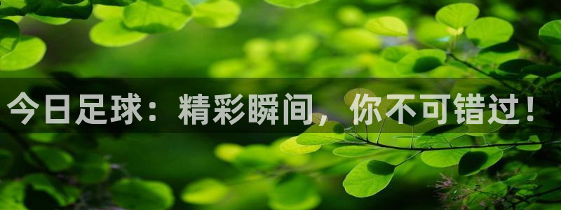 玩球直播看比赛：今日足球：精彩瞬间，你不可错过！