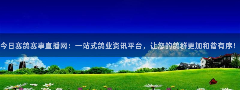 玩球直播免费下载：今日赛鸽赛事直播网：一站式鸽业资讯平台，让您的鸽群更加和谐有序！