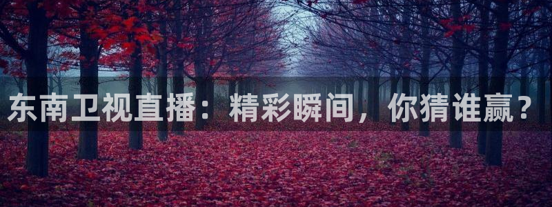 玩球直播app官网：东南卫视直播：精彩瞬间，你猜谁赢？