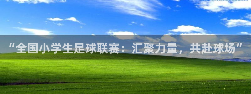 “全国小学生足球联赛：汇聚力量，共赴