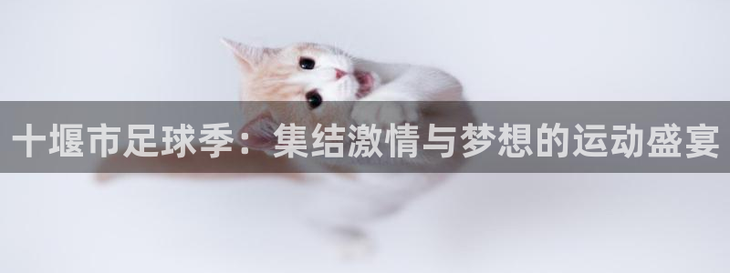 十堰市足球季：集结激情与梦想的运动盛
