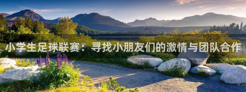 小学生足球联赛：寻找小朋友们的激情与