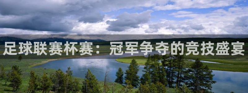 足球联赛杯赛：冠军争夺的竞技盛宴