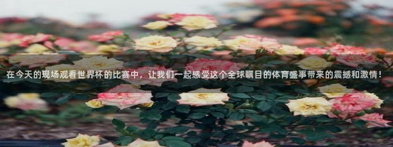 在今天的现场观看世界杯的比赛中，让我