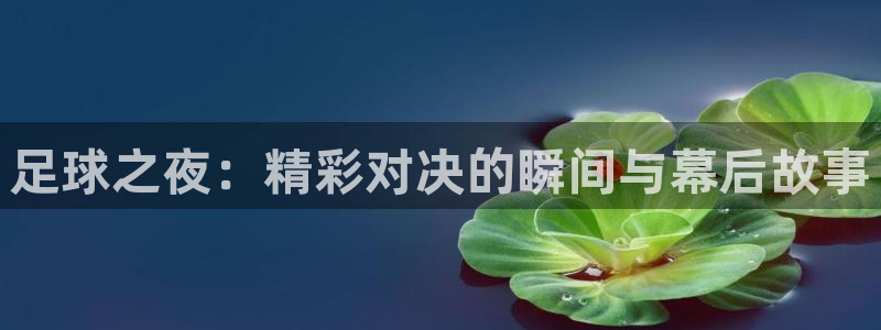 足球之夜：精彩对决的瞬间与幕后故事