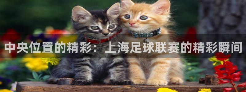 中央位置的精彩：上海足球联赛的精彩瞬
