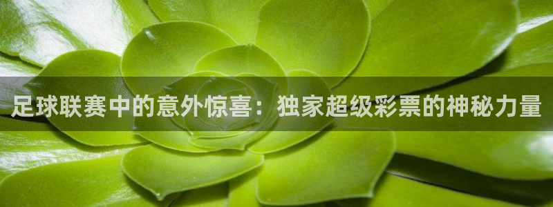 足球联赛中的意外惊喜：独家超级彩票的