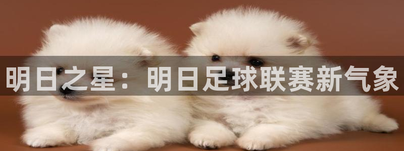  明日之星：明日足球联赛新气象