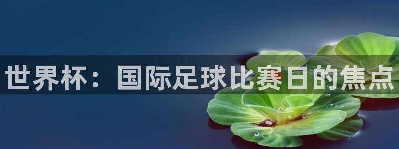  世界杯：国际足球比赛日的焦点