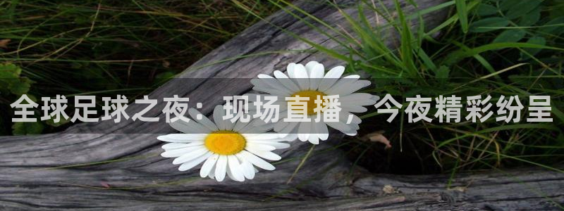 全球足球之夜：现场直播，今夜精彩纷呈