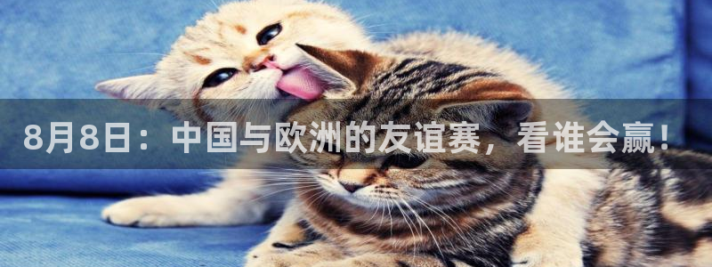 8月8日：中国与欧洲的友谊赛，看谁会