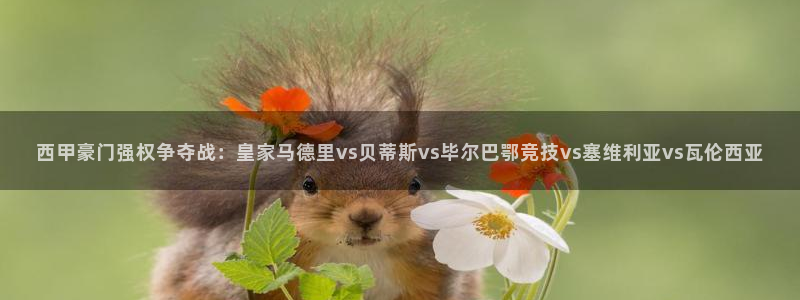 西甲豪门强权争夺战：皇家马德里vs贝