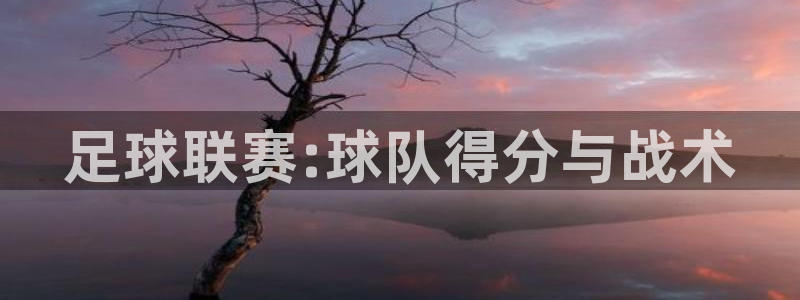 足球联赛:球队得分与战术