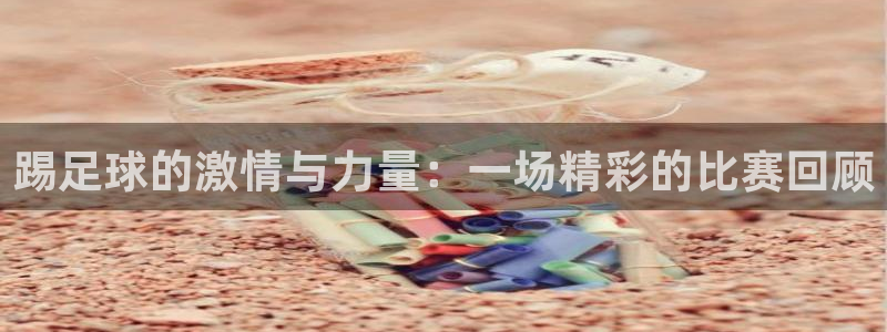 踢足球的激情与力量：一场精彩的比赛回顾