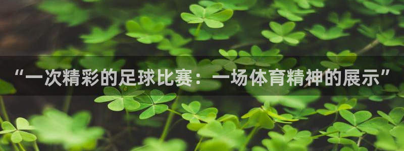 “一次精彩的足球比赛：一场体育精神的展示”