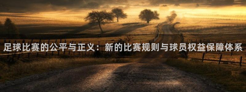  足球比赛的公平与正义：新的比赛规则与球员权益保障体系