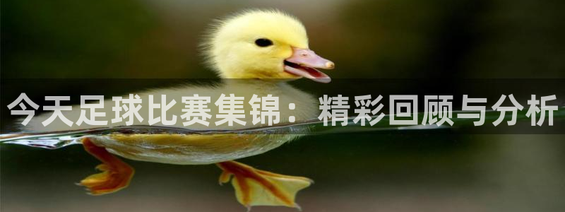  今天足球比赛集锦：精彩回顾与分析