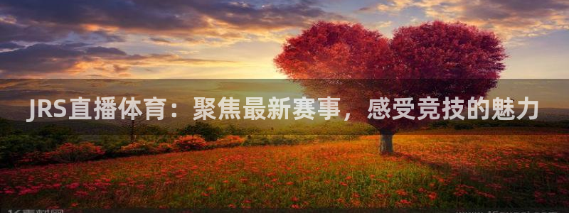 玩球直播app下载安装：JRS直播体育：聚焦最新赛事，感受竞技的魅力