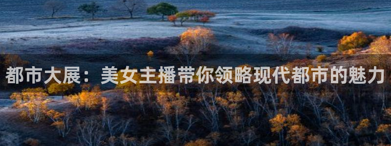 玩球怎么玩：都市大展：美女主播带你领略现代都市的魅力