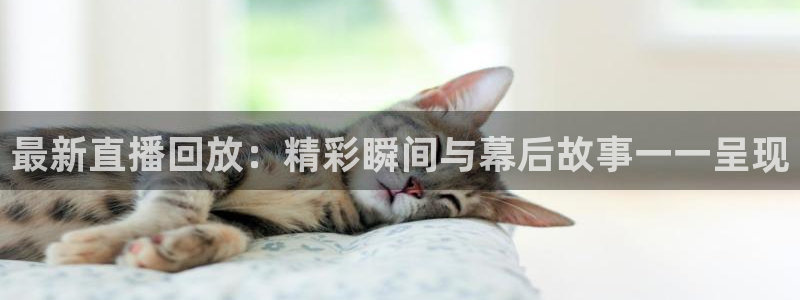 nba总决赛玩球直播：最新直播回放：精彩瞬间与幕后故事一一呈现