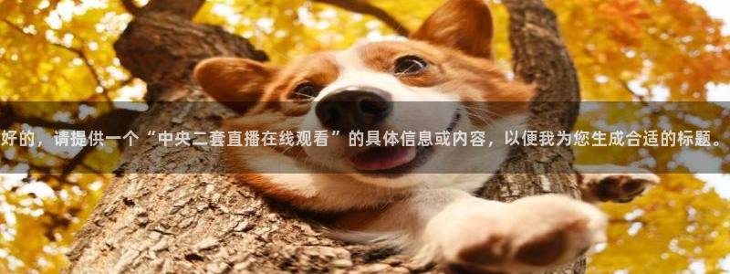 玩球直播：好的，请提供一个“中央二套直播在线观看”的具体信息或内容，以便我为您生成合适的标题。