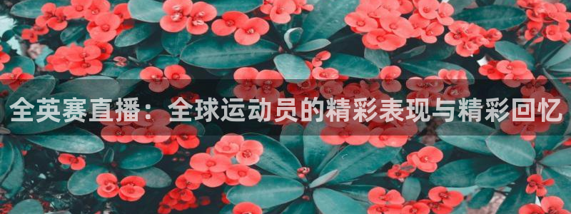 玩球体育app：全英赛直播：全球运动员的精彩表现与精彩回忆