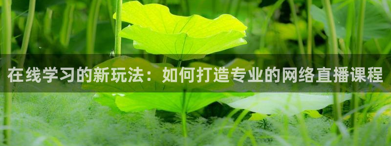 玩球直播app苹果：在线学习的新玩法：如何打造专业的网络直播课程