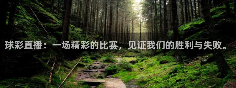 玩球的直播平台：球彩直播：一场精彩的比赛，见证我们的胜利与失败。