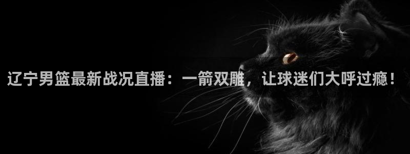 玩球直播官网：辽宁男篮最新战况直播：一箭双雕，让球迷们大呼过瘾！