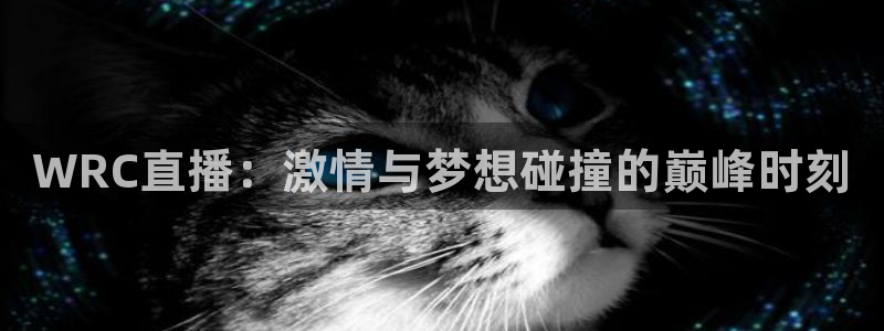 直播玩球：WRC直播：激情与梦想碰撞的巅峰时刻