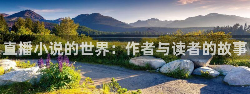 玩球球视频：直播小说的世界：作者与读者的故事